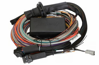 compare product Haltech Universal Elite 2500/2500 T Premium Wire-In Harness