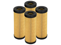 aFe PROGUARD Oil Filter - 4 Pack - My Store
