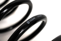 Icon 21 - 24 Raptor Triple Rate Overland Coil Spring Kit - My Store