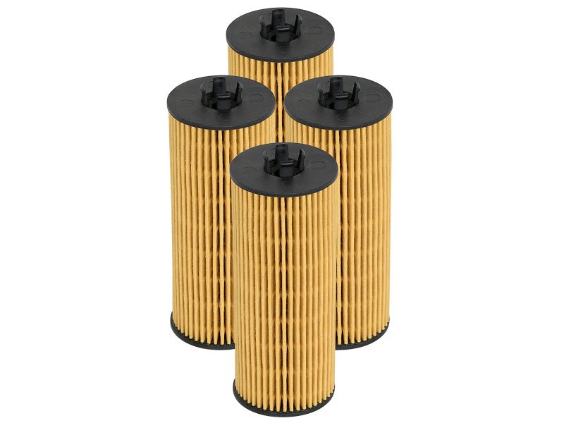 aFe PROGUARD Oil Filter - 4 Pack - My Store