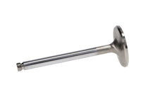 Manley VW Rabbit Stainless 40.5mm Race Master Intake Valves (Set of 4) - My Store