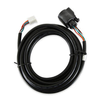 AEM Replacement Sensor Harness for Digital Wideband Gauge (30 - 4110) - My Store