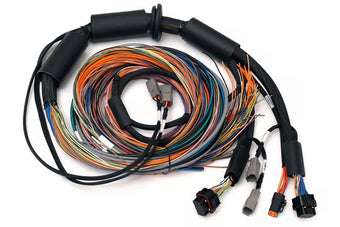 compare product Haltech NEXUS R3 Universal Wire-In Harness - 2.5M (8ft)