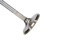 Manley Ford 4.6L 34mm Diameter 117.35mm Length Race Master Exhaust Valves (Set of 8) - My Store