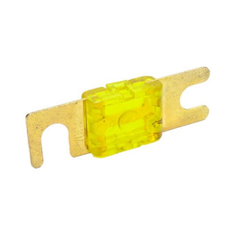 compare product Snow 100 Amp Fuse
