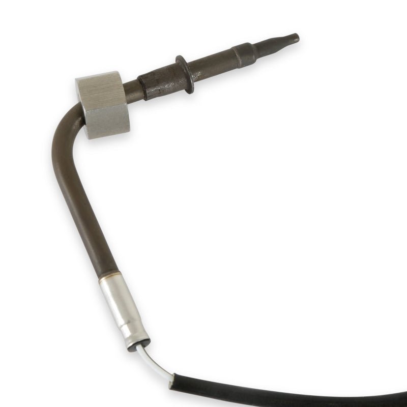 AEM RTD Exhaust Gas Temperature Sensor Kit - My Store