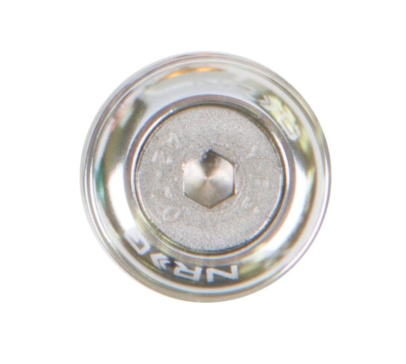 NRG Fender Washer Kit w/Rivets For Metal (Silver) - Set of 10 - My Store