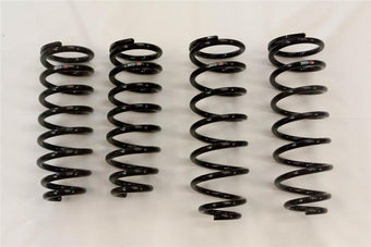 compare product RS-R 01-06 Lexus LS430 (UCF30/31) Down Sus Springs