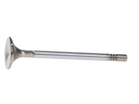 Manley Ford Modular Coyote 5.0L Gen III Race Master Series Exhaust Valve Set - 1.260in Dia - My Store
