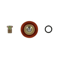 AEM Universal Fuel Pressure Regulator Rebuild Kit - My Store