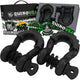 Rhino USA 3/4In D - Ring Shackle Set, Pack Of 2 (Black) - My Store