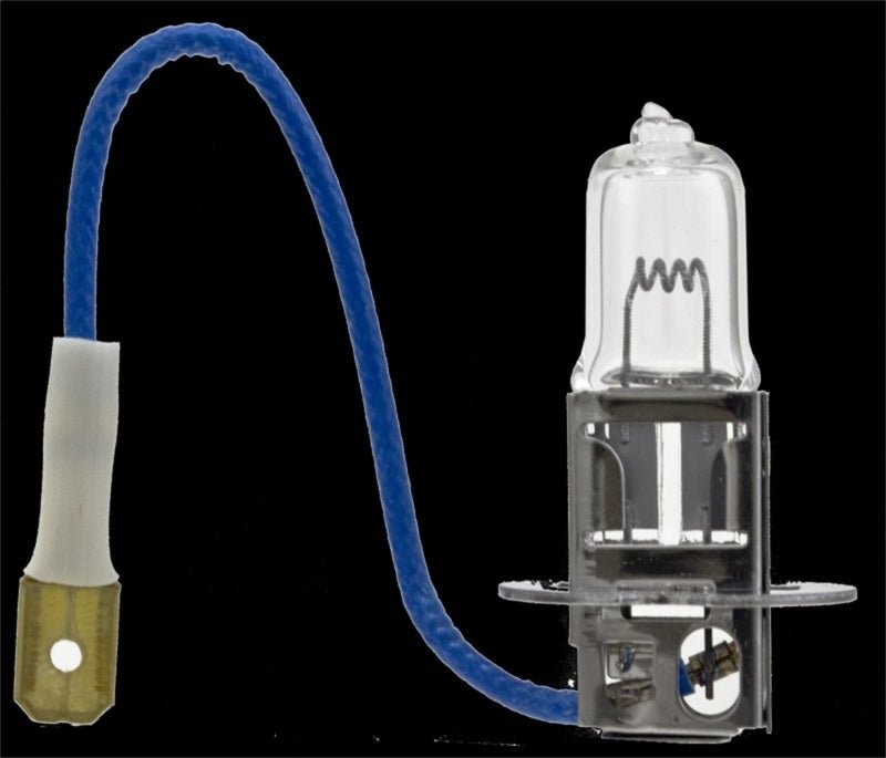 Hella H3 24V/70W PK22s T3.25 Halogen Bulb - My Store