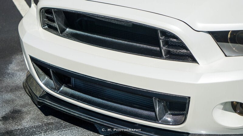 Anderson Composites 10 - 14 Ford Mustang/Shelby GT500 Front Lower Grille - My Store