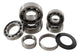 Hot Rods 2006 Honda CRF 250 R 250cc Transmission Bearing Kit - My Store