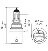 Hella Bulb 9004 12V 65/45W Xen Wht Xb (2) - My Store