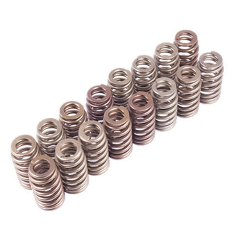 compare product Ford Racing BOSS 302R Valve Spring Kit
