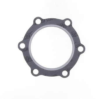 compare product Athena 1981 Maico 2T 250 Cylinder Head Gasket