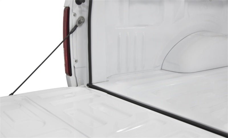Access Accessories TRAILSEAL Tailgate Gasket 1 Kit Fits All Pickups - My Store