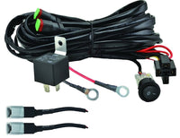 Hella ValueFit Wiring Harness for 2 Lamps 300W - My Store