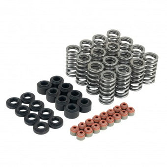 compare product Skunk2 Honda L15B7 Ultra Valve Springs and Spring Base Kit