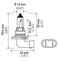 Hella 9006 12V 55W Halogen Bulb - My Store