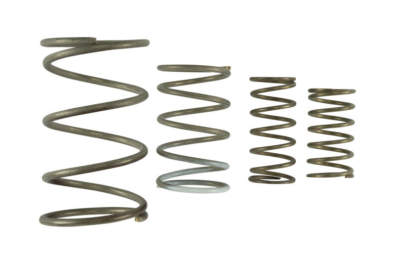 Wastegate Springs