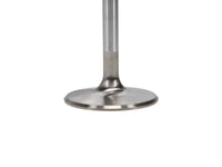 Manley Chrysler 440 - 1 intake Valve Kit - 2.190in Head Dia. 5.344in O/A Length, 0.3415in Stem - My Store