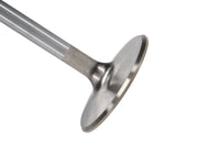 Manley Chrysler 440 - 1 intake Valve Kit - 2.190in Head Dia. 5.344in O/A Length, 0.3415in Stem - My Store