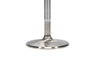 Manley Chrysler Hemi 6.1L w/ Triple Groove 2.100in Race Flo Intake Valves (Set of 8) - My Store
