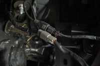 DV8 Offroad Universal 4 - Way 1 - DTP to 4 - DTP Plug Harness - 15ft - My Store