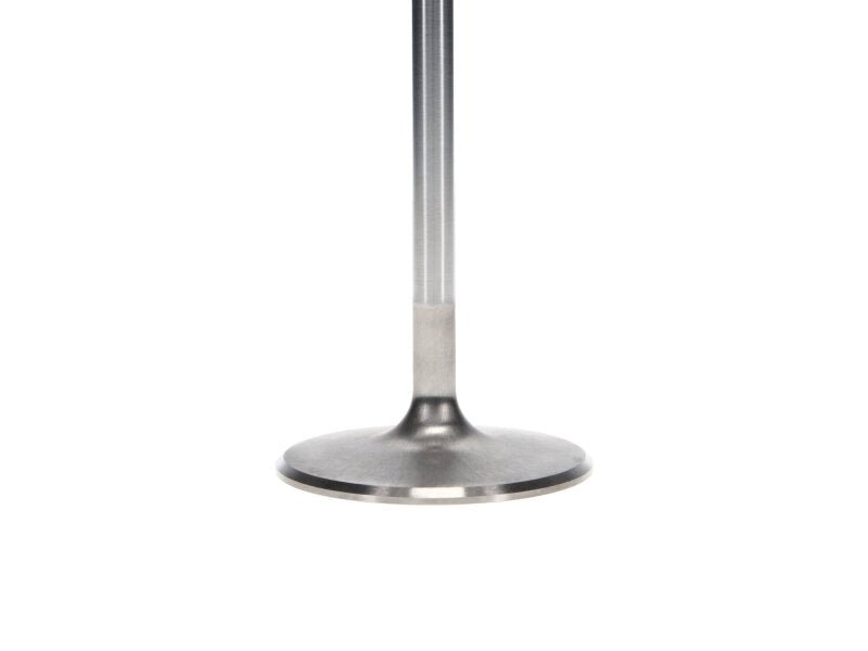 Manley Chevrolet Big Block Intake Valve Kit - 2.300in Head Dia. 5.244in O/A Length, 0.3110in Stem - My Store
