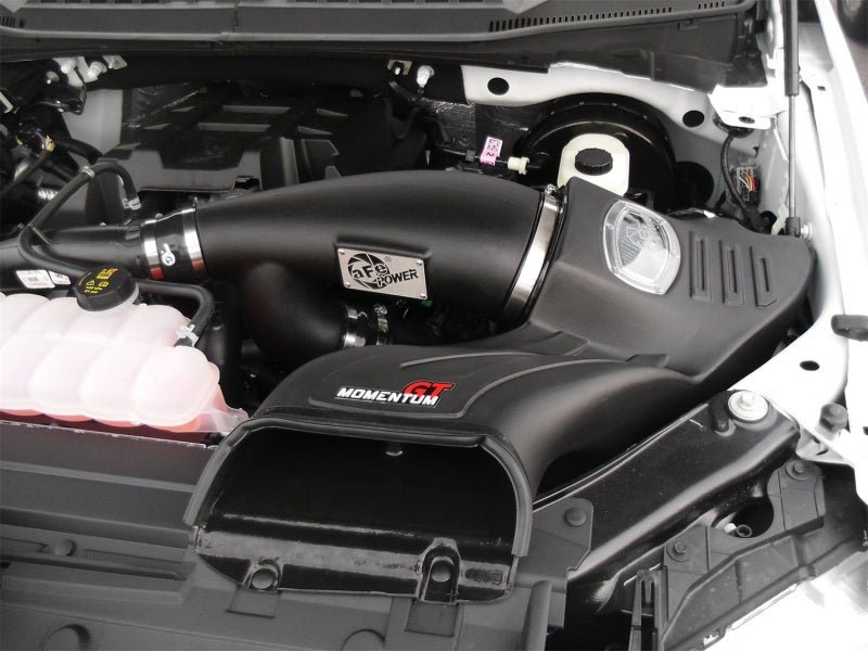 aFe Momentum GT Pro DRY S Intake System 2016 Ford F - 150 EcoBoost V6 - 2.7L/3.5L (tt) - My Store