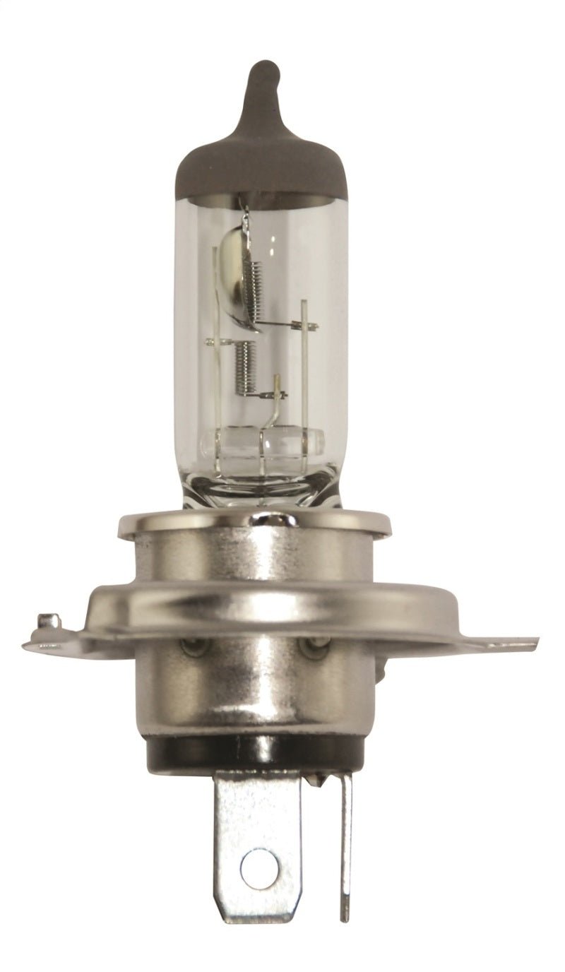 Hella H4 12V 130/90W Halogen Headlight Bulb - Universal - My Store