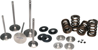 compare product Ferrea Honda/Acura K20/K24Z3/K24Z7 Dual Valve Spring Kit