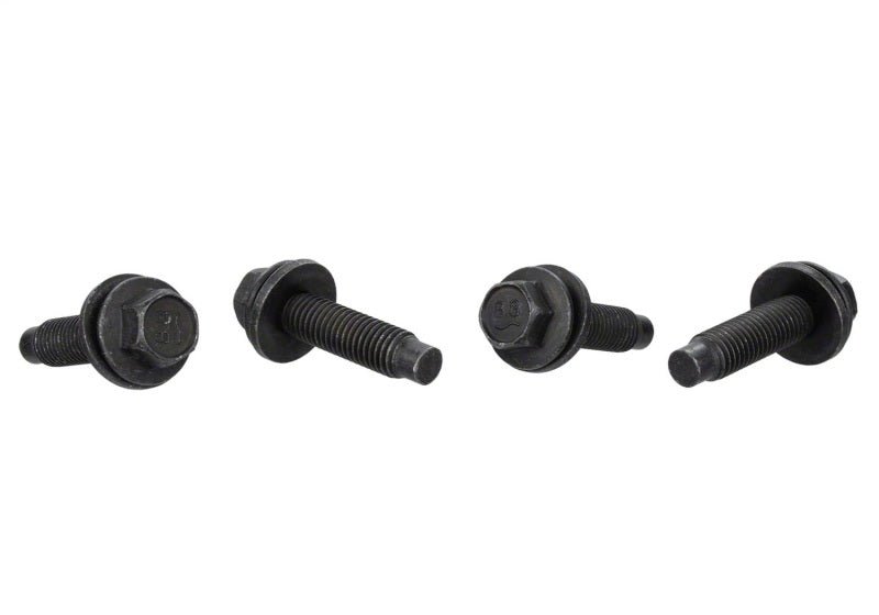 Ford Racing FPP Bead Lock Ring Bolt Kit - My Store