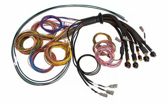 compare product Haltech NEXUS R5 Universal Wire-In Harness - 5M (16ft)