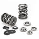 Supertech BMW M54 16 Dual Valve Spring Kit - My Store