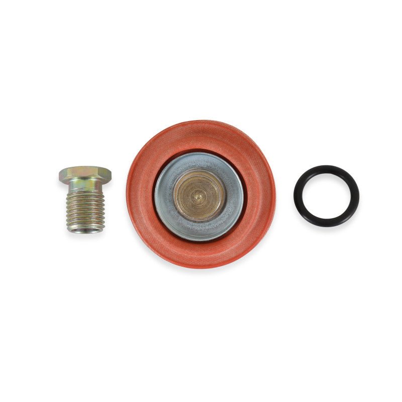 AEM Universal Fuel Pressure Regulator Rebuild Kit - My Store