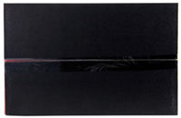 AEM C.A.S. 06 - 13 Lexus IS250 V6 - 2.5L F/I Cold Air Intake System - My Store