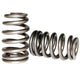 Comp Cams Valve Spring, Acura B18 Inner - My Store