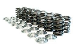 Manley 90 - 99 Mitsubishi 4G63 - 4G63T DSM DOHC 16 Valve Spring and Retainer Kit (w/o Valve Locks) (16 e - My Store