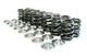 Manley Honda F20C/F22C Valve Spring and Retainer Kit (w/ Valve Locks) - My Store